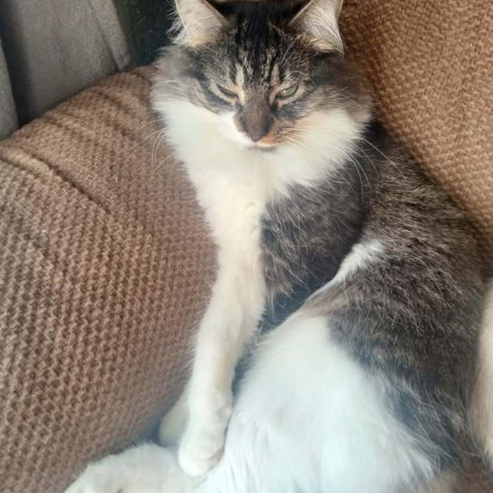 Meet your Posher, Jorge